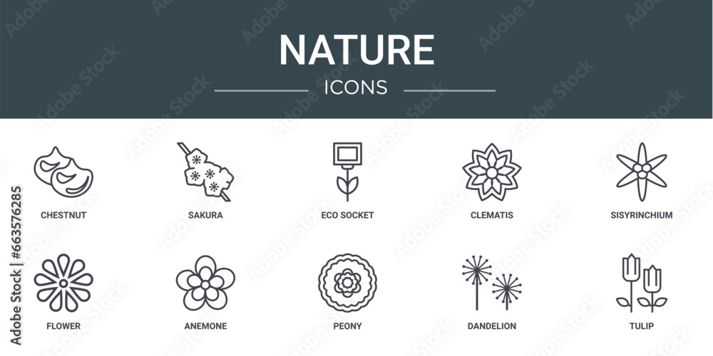 set of 10 outline web nature icons such as chestnut, sakura, eco socket, clematis, sisyrinchium, flower, anemone vector icons for report, presentation, diagram, web design, mobile app