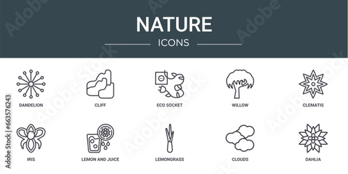 set of 10 outline web nature icons such as dandelion, cliff, eco socket, willow, clematis, iris, lemon and juice drop out vector icons for report, presentation, diagram, web design, mobile app