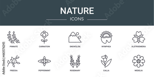 set of 10 outline web nature icons such as pinnate, carnation, snowslide, nymphea, alstroemeria, freesia, peppermint vector icons for report, presentation, diagram, web design, mobile app