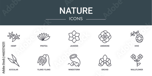 set of 10 outline web nature icons such as hemp, protea, jasmine, anemone, hive, acicular, ylang-ylang vector icons for report, presentation, diagram, web design, mobile app
