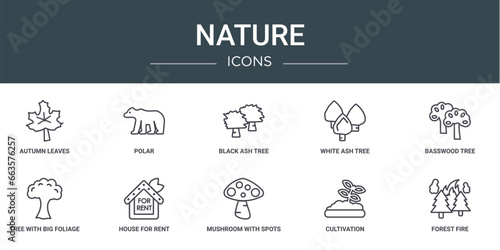 set of 10 outline web nature icons such as autumn leaves, polar, black ash tree, white ash tree, basswood tree, with big foliage, house for rent vector icons for report, presentation, diagram, web