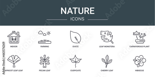 set of 10 outline web nature icons such as indoor, farming, ovate, leaf monstera, carnivorous plant, apricot leaf leaf, pecan vector icons for report, presentation, diagram, web design, mobile app