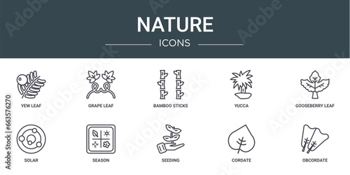 set of 10 outline web nature icons such as yew leaf, grape leaf, bamboo sticks, yucca, gooseberry leaf, solar, season vector icons for report, presentation, diagram, web design, mobile app