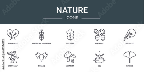 set of 10 outline web nature icons such as plum leaf, american mountain ash, oak leaf, nut leaf, obovate, briar pollen vector icons for report, presentation, diagram, web design, mobile app