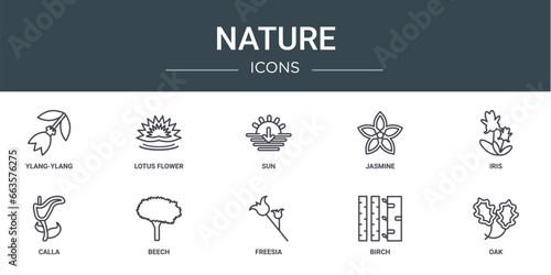 set of 10 outline web nature icons such as ylang-ylang, lotus flower, sun, jasmine, iris, calla, beech vector icons for report, presentation, diagram, web design, mobile app