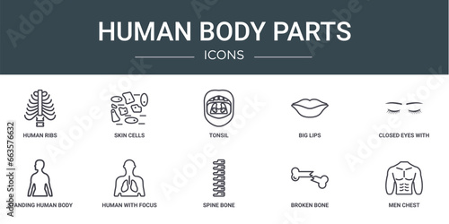 set of 10 outline web human body parts icons such as human ribs, skin cells, tonsil, big lips, closed eyes with lashes and brows, standing human body, with focus on the lungs vector icons for