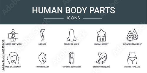 set of 10 outline web human body parts icons such as human body with x ray plate focusing on stoh, men leg, male e of a line, human breast, sweat or tear drop, face of a woman, heart vector icons