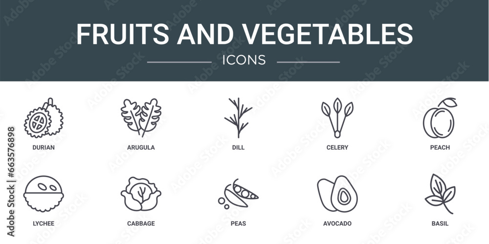 set of 10 outline web fruits and vegetables icons such as durian, arugula, dill, celery, peach, lychee, cabbage vector icons for report, presentation, diagram, web design, mobile app