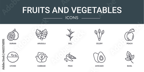 set of 10 outline web fruits and vegetables icons such as durian, arugula, dill, celery, peach, lychee, cabbage vector icons for report, presentation, diagram, web design, mobile app