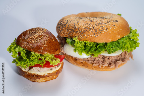 close-up on light surface, various hamburgers, meat, fish and tuna hamburgers for restaurant menu on white background. Isolated, close-up view