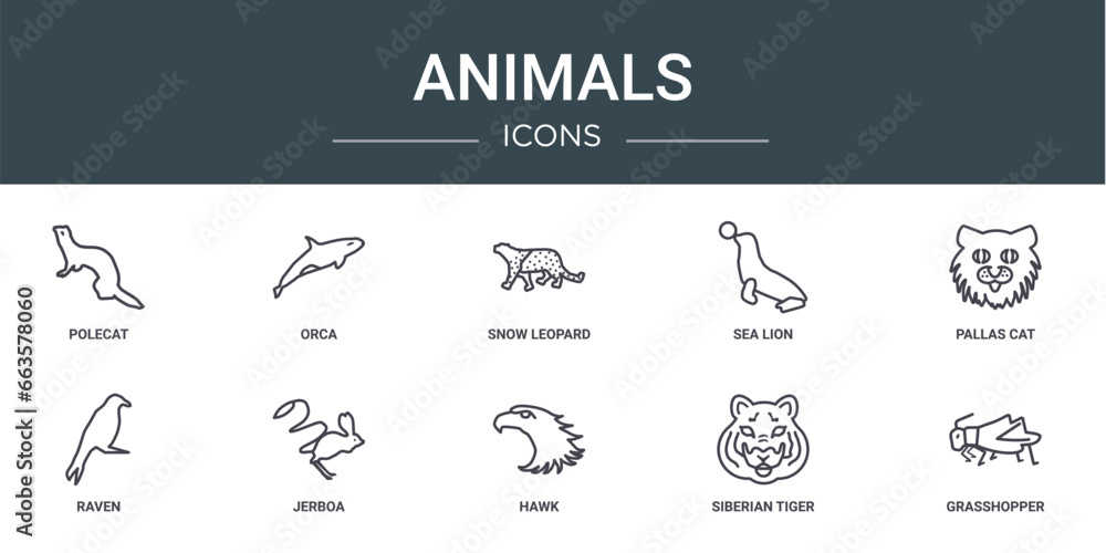 set of 10 outline web animals icons such as polecat, orca, snow leopard, sea lion, pallas cat, raven, jerboa vector icons for report, presentation, diagram, web design, mobile app