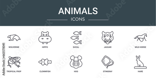 set of 10 outline web animals icons such as wolverine, hippo, shoal, jaguar, wild horse, tropical frop, clownfish vector icons for report, presentation, diagram, web design, mobile app photo