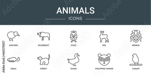 set of 10 outline web animals icons such as kiwi bird, wildebeest, chick, roe, bedbug, sable, ferret vector icons for report, presentation, diagram, web design, mobile app