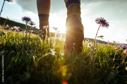 Woman hiker legs walking beautiful flowering grassland photo