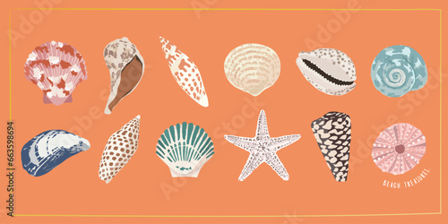 modern seashell vector illustration set, pretty lovely sea shell collection, sea shell wall art.