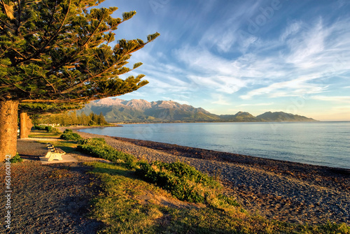 Sunny morning at the beach in Kaikoura township, South Island,New Zealand photo