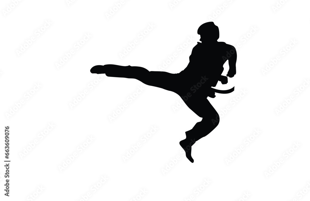 taekwondo silhouette vector. Boxing and competition silhouettes vector image,