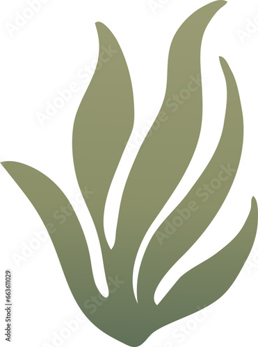 Leaf Vector Illustration