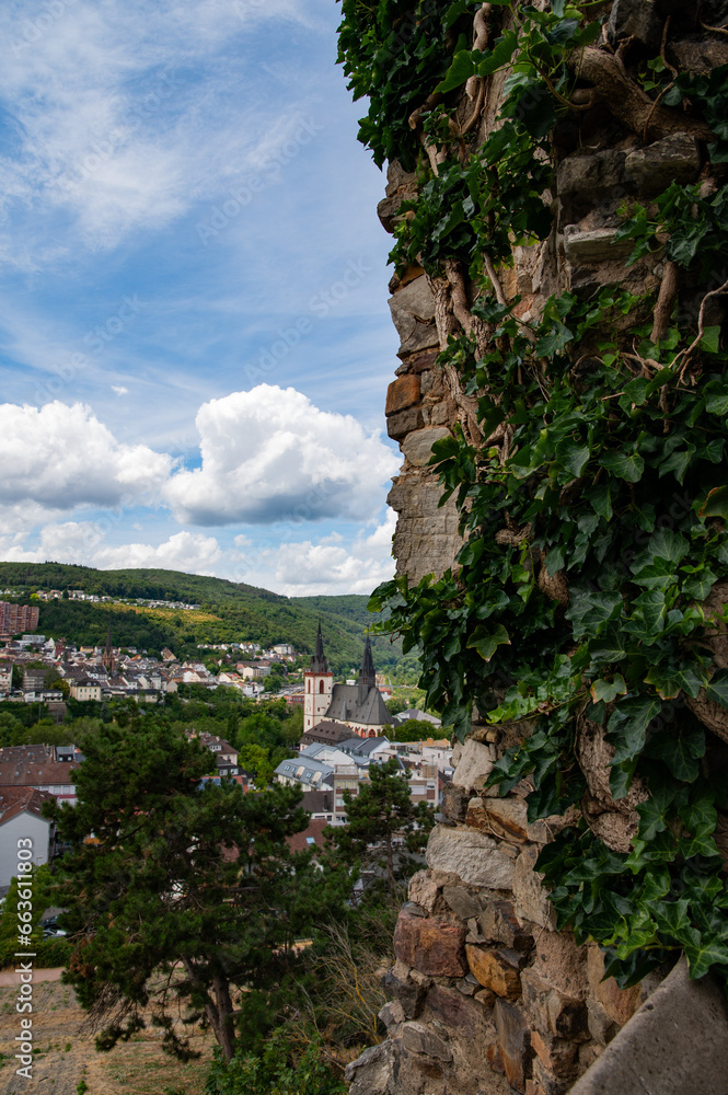 Views of Bingen Germany from the Castle Tower Views of Bingen Germany from the Castle Tower