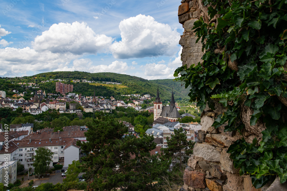 Fototapeta premium Views of Bingen Germany from the Castle Tower