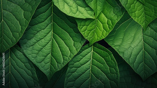 Closeup natural green leaves background. AI generated image