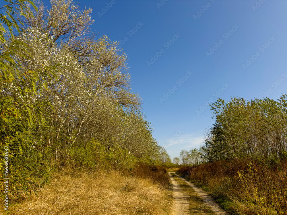Beautiful autumn scenery in remote rural area in Eastern Europe Beautiful autumn scenery in remote rural area in Eastern Europe