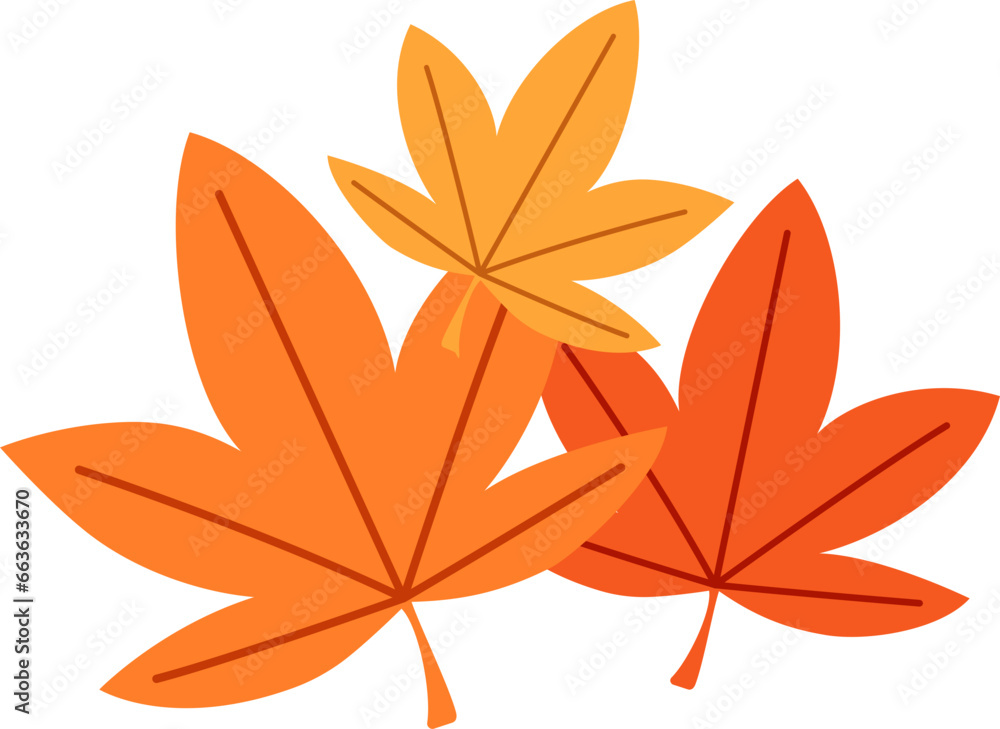 autumn maple leaves vector illustration