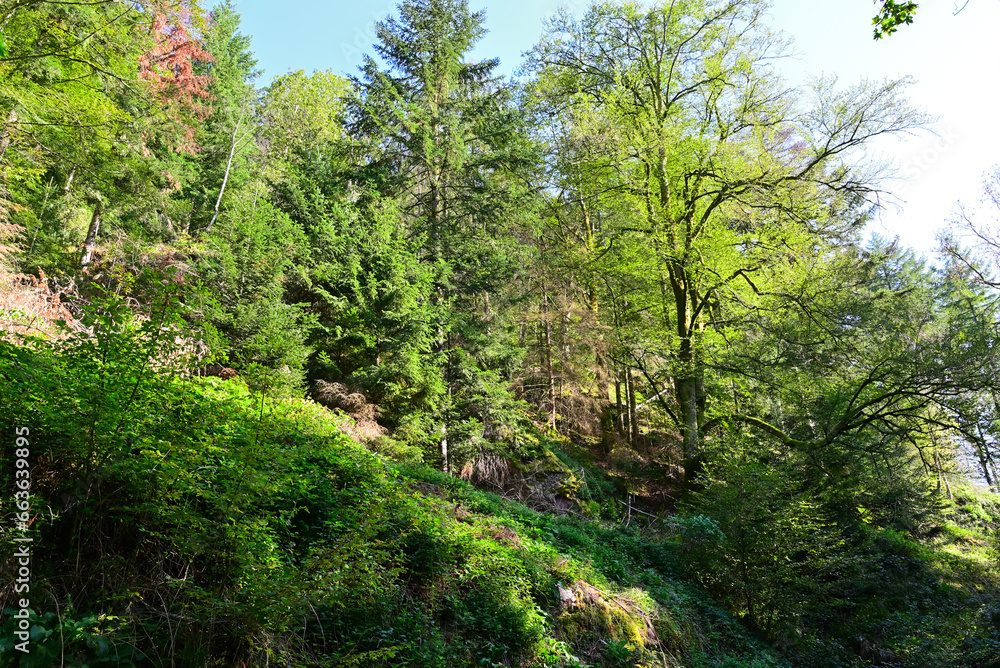 Geroldsauer Wasserfall in Baden-Baden, Deutschland