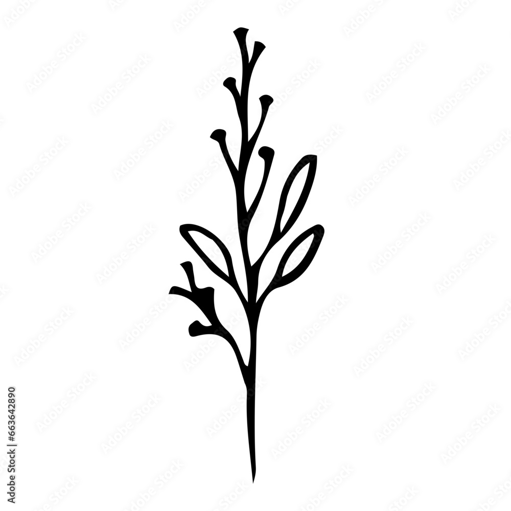 Floral Hand drawn Element Floral Hand drawn Element