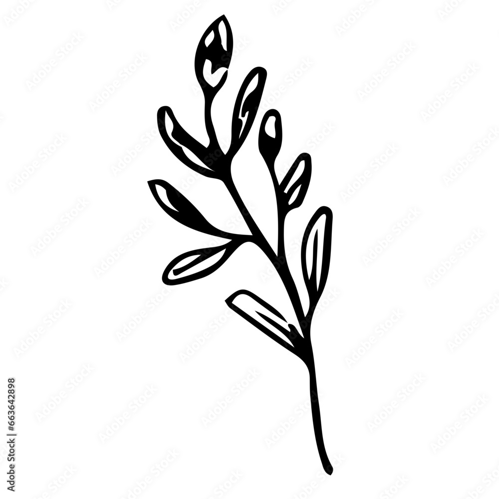 Floral Hand drawn Element Floral Hand drawn Element
