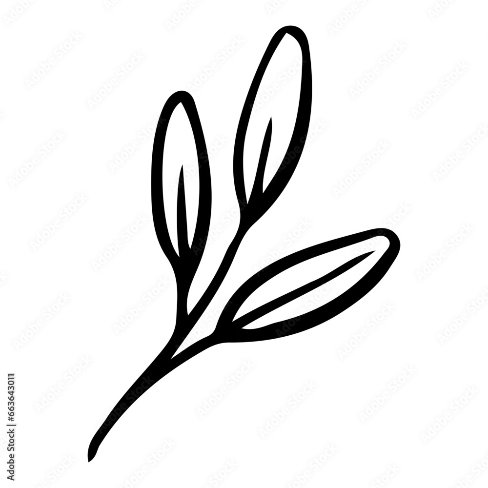 Floral Hand drawn Element Floral Hand drawn Element