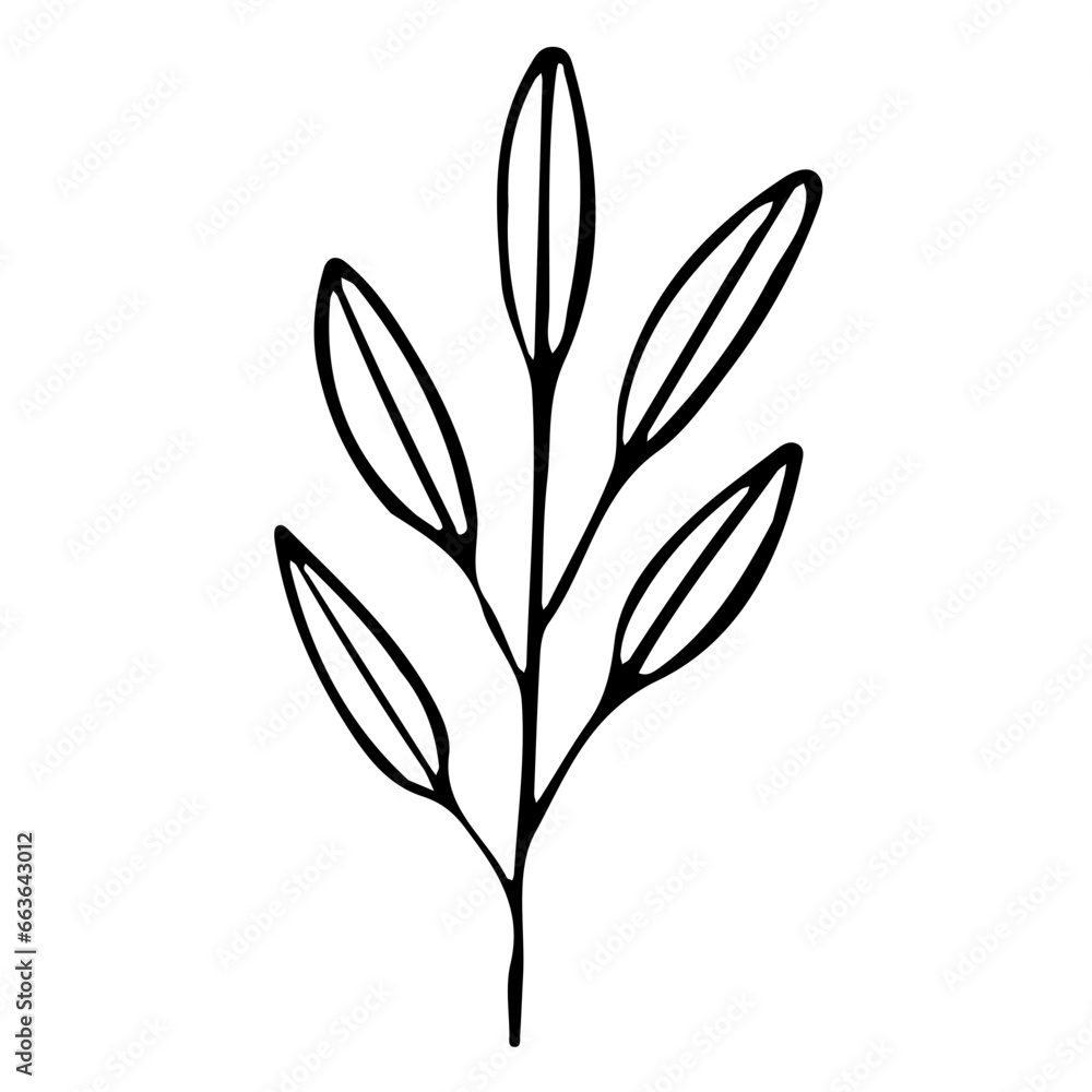 Floral Hand drawn Element Floral Hand drawn Element