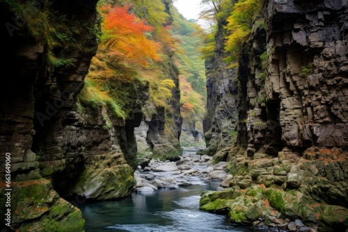 A beautiful canyon.