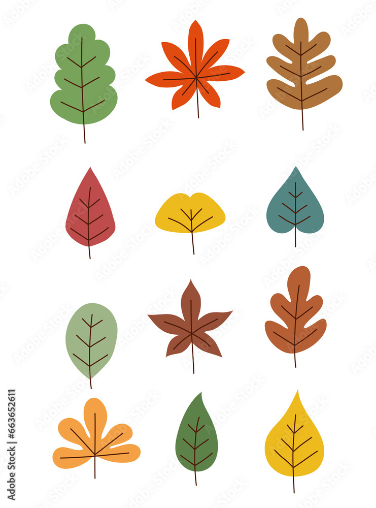 가을 단풍잎과 나뭇잎들