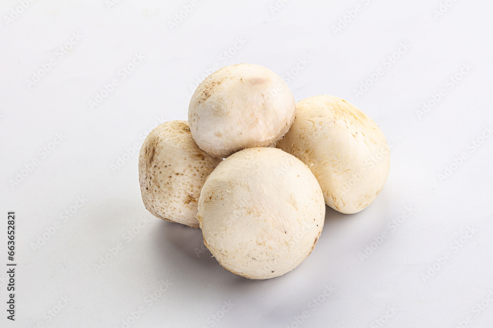 Natural organic ripe champignon mushrooms Natural organic ripe champignon mushrooms