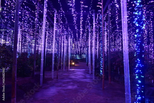 島根　由志園　サマーイルミネーション