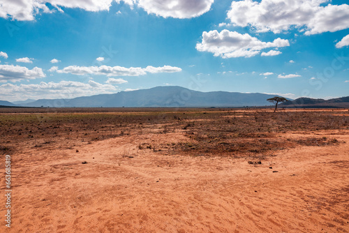 Landscapes with hills and acacia trees at Tsavo East National Park, Kenya