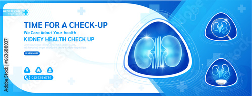 Medical banner healthcare template design for check up. Kidney in triangle frame stethoscope and magnifying glass examining organ. Background or poster for medical ads website social media. Vector.