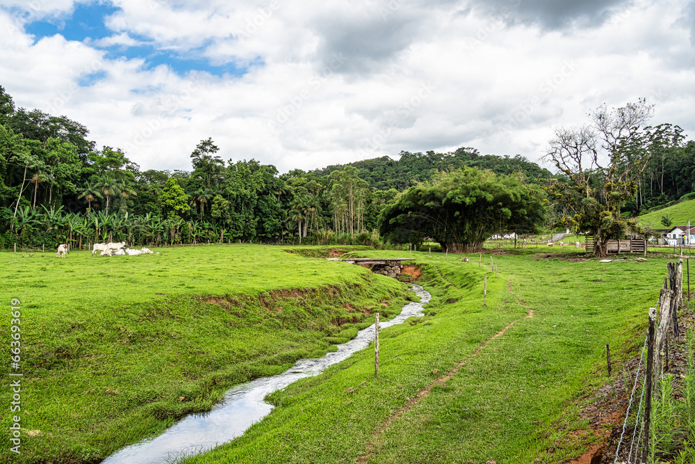 Green fields and meadows in the countryside of Pomerode, Santa Catarina in Brazil Green fields and meadows in the countryside of Pomerode, Santa Catarina in Brazil