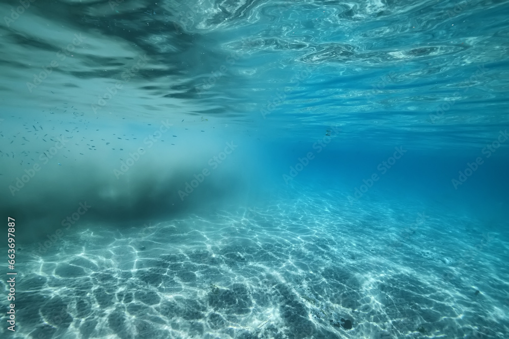 underwater photo blue background panorama ocean surface and bottom of the sea