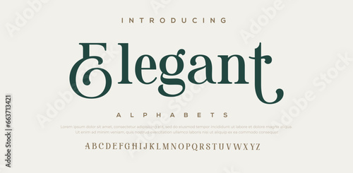 Elegant Font Uppercase Lowercase and Number. Classic Lettering Minimal Fashion Designs. Typography modern serif fonts regular decorative vintage concept. vector illustration