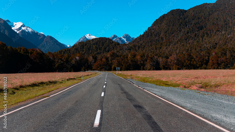 Fototapeta premium The Road trip view of travel scene at at fiordland national park,New zealand