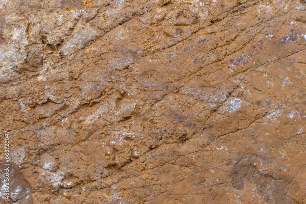 Texture, stone surface. Brown background.