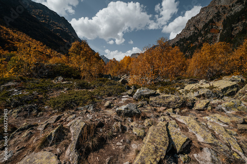 autumn forest, kurumnik in the mountains photo