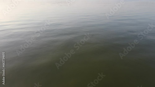 Aerial sunset view of cultivate fish on the lake such as cat fish is alternative to divers the food nutrition. photo