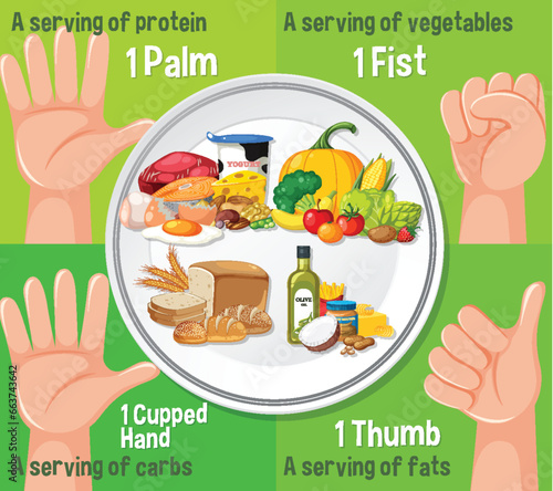 Set of Food Macronutrients: A Visual Guide