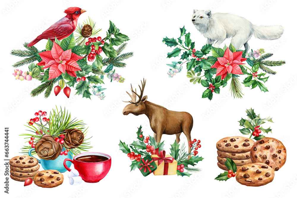 Fototapeta premium Bird, animal and sweet, holly branches, pine cone and star flower. drawn in watercolor postcard, poster