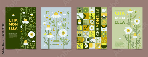 Set poster, brochure with chamomile drawing. Isolated flower and leaves. Cards geometry for print design vector banner