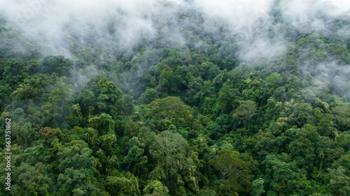Aerial view misty foggy mountain landscape with tropical rain forest,Forest in the valley in the morning is very foggy.