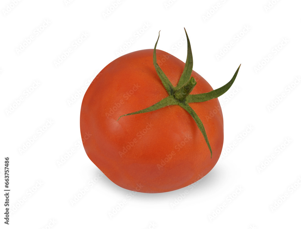 One red, isolated tomato on a transparent background with a shadow; cut out from the background. One red, isolated tomato on a transparent background with a shadow; cut out from the background.